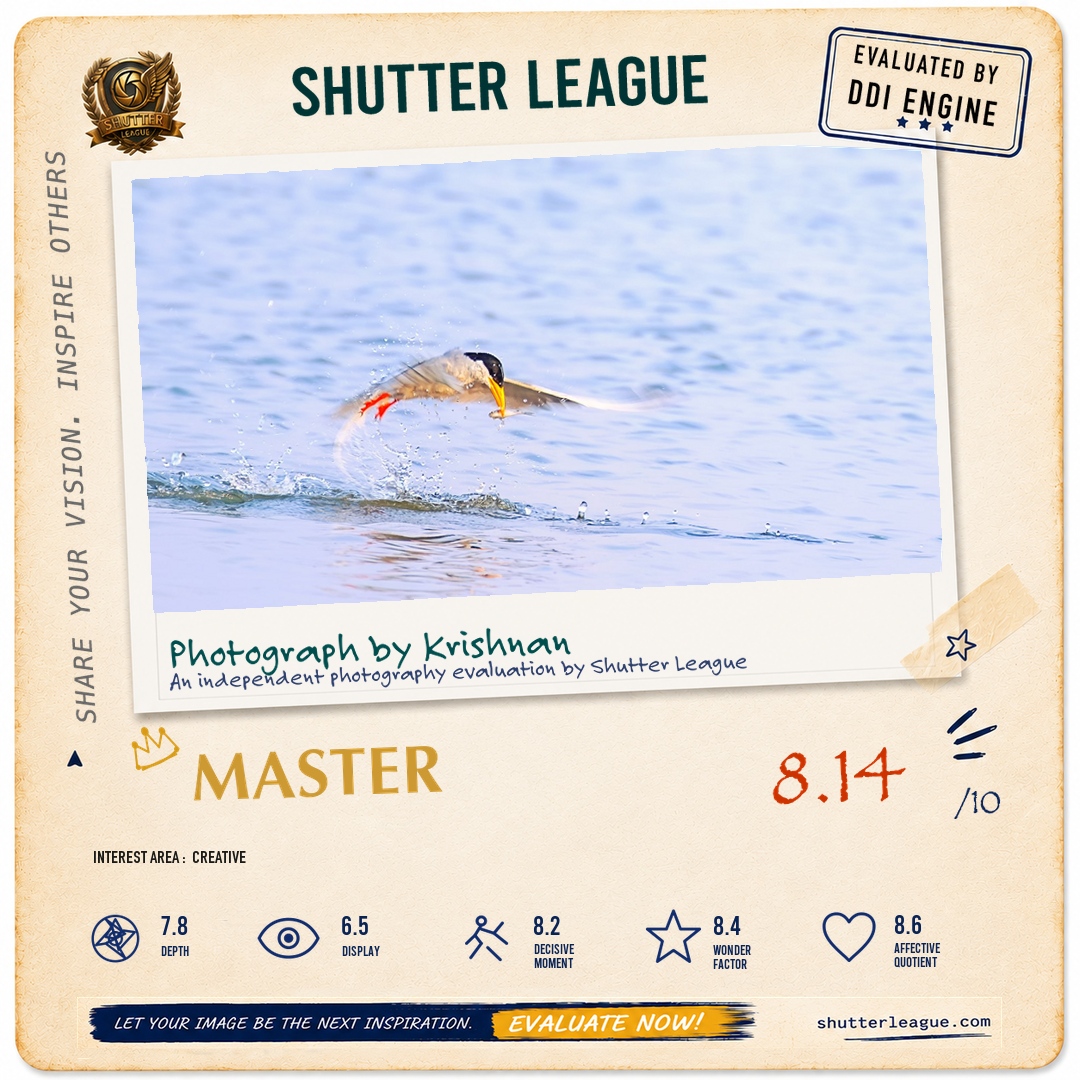 Shutter League evaluation card — Tern fishing