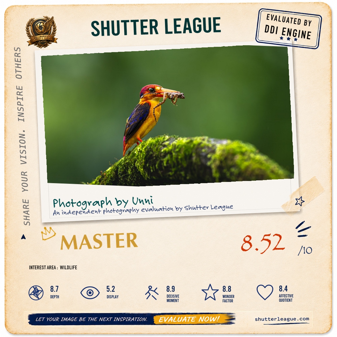 Shutter League evaluation card — ODKF