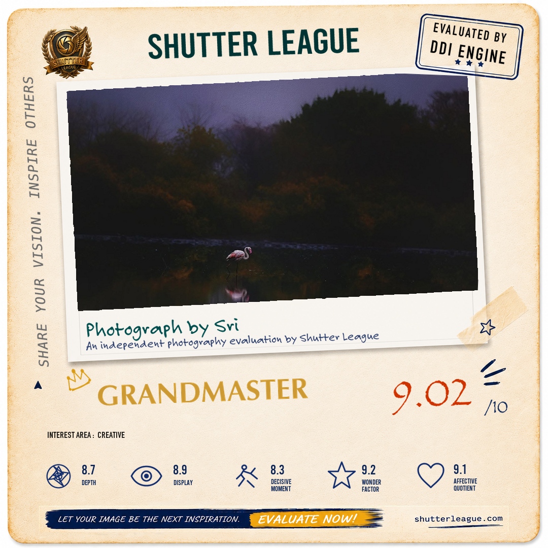 Shutter League evaluation card — Dawn Break in the wetlands of Navi Mumbai