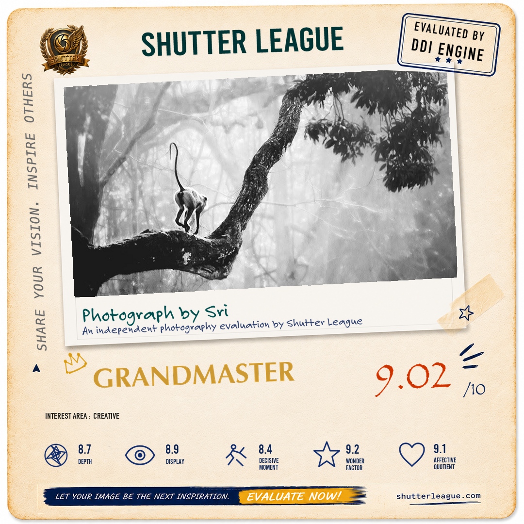 Shutter League evaluation card — Jungle Book