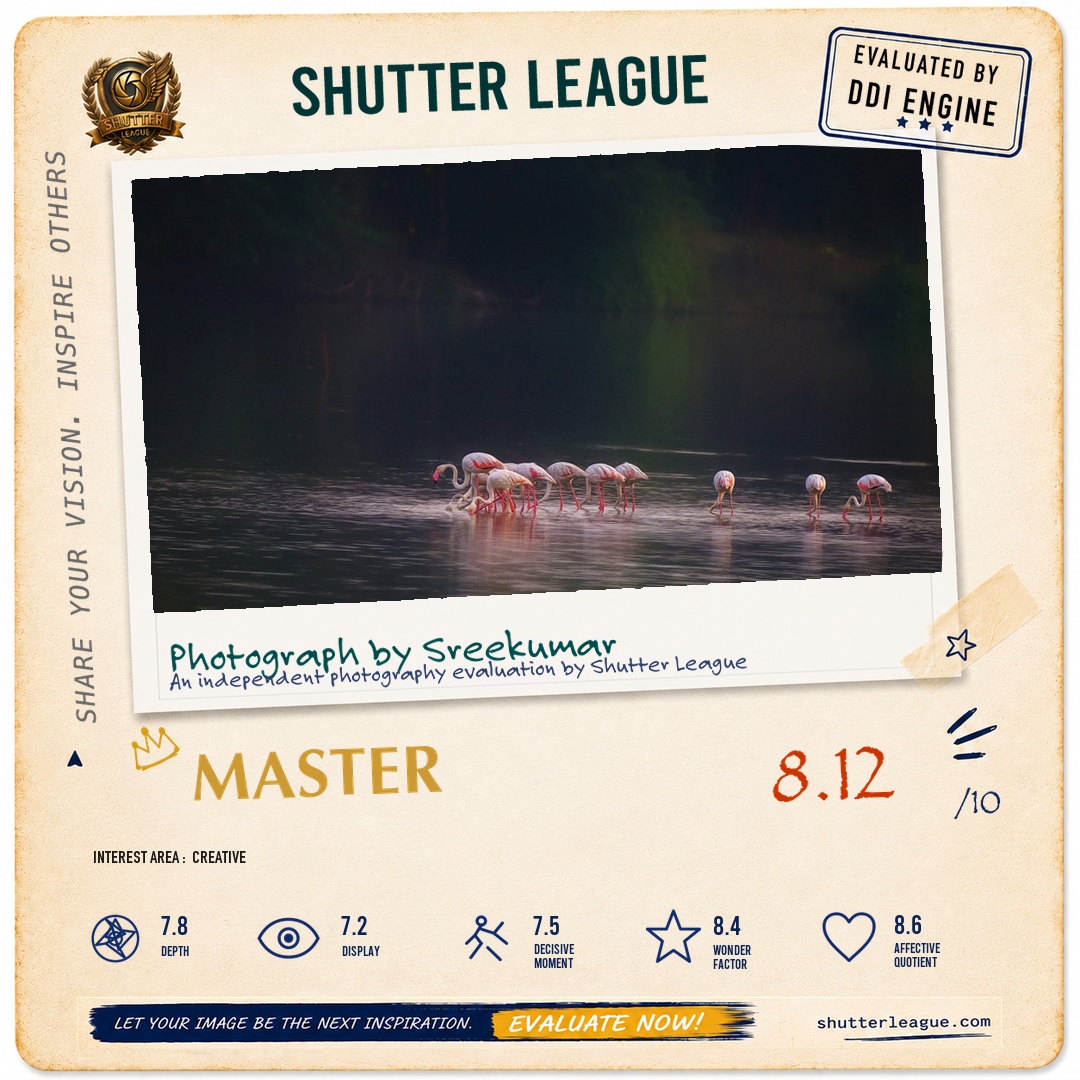 Shutter League evaluation card — One Morning