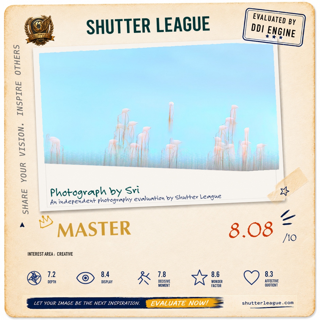 Shutter League evaluation card — Flamingos in Navi Mumbai