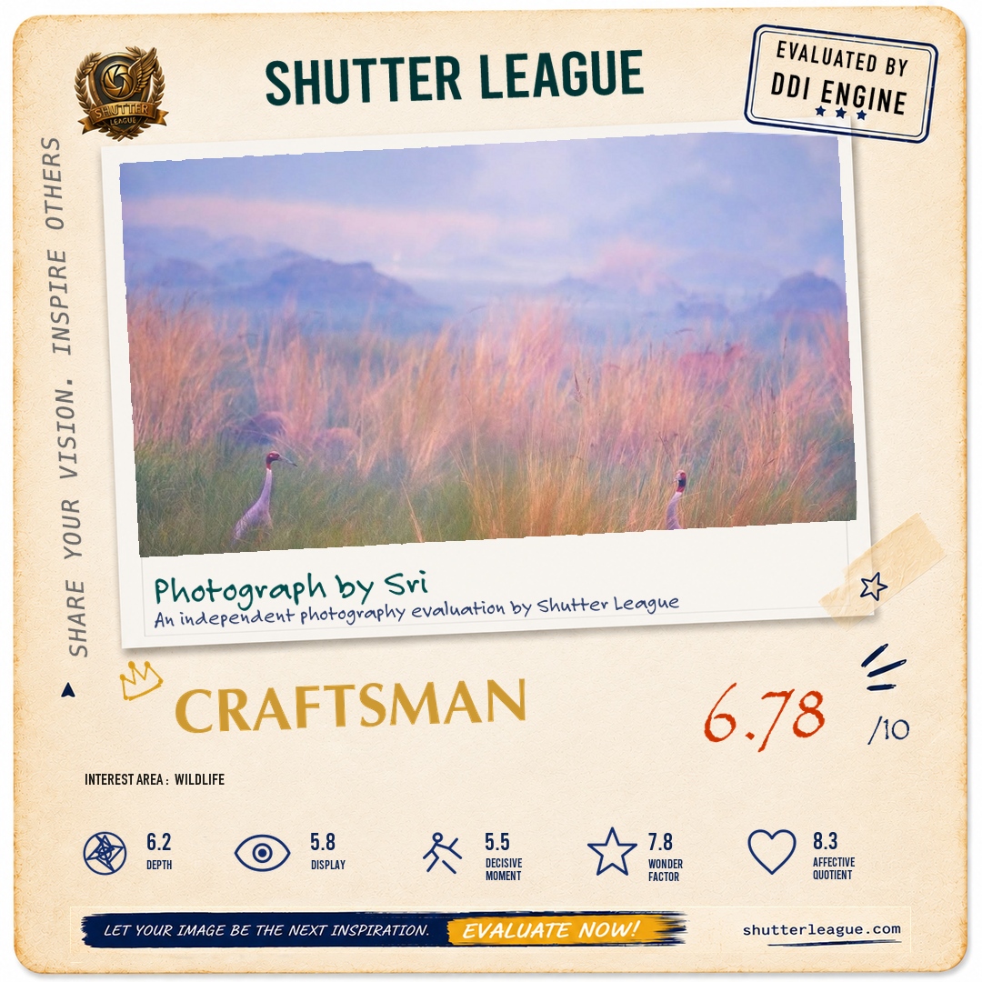 Shutter League evaluation card — Sarus Bharatpur