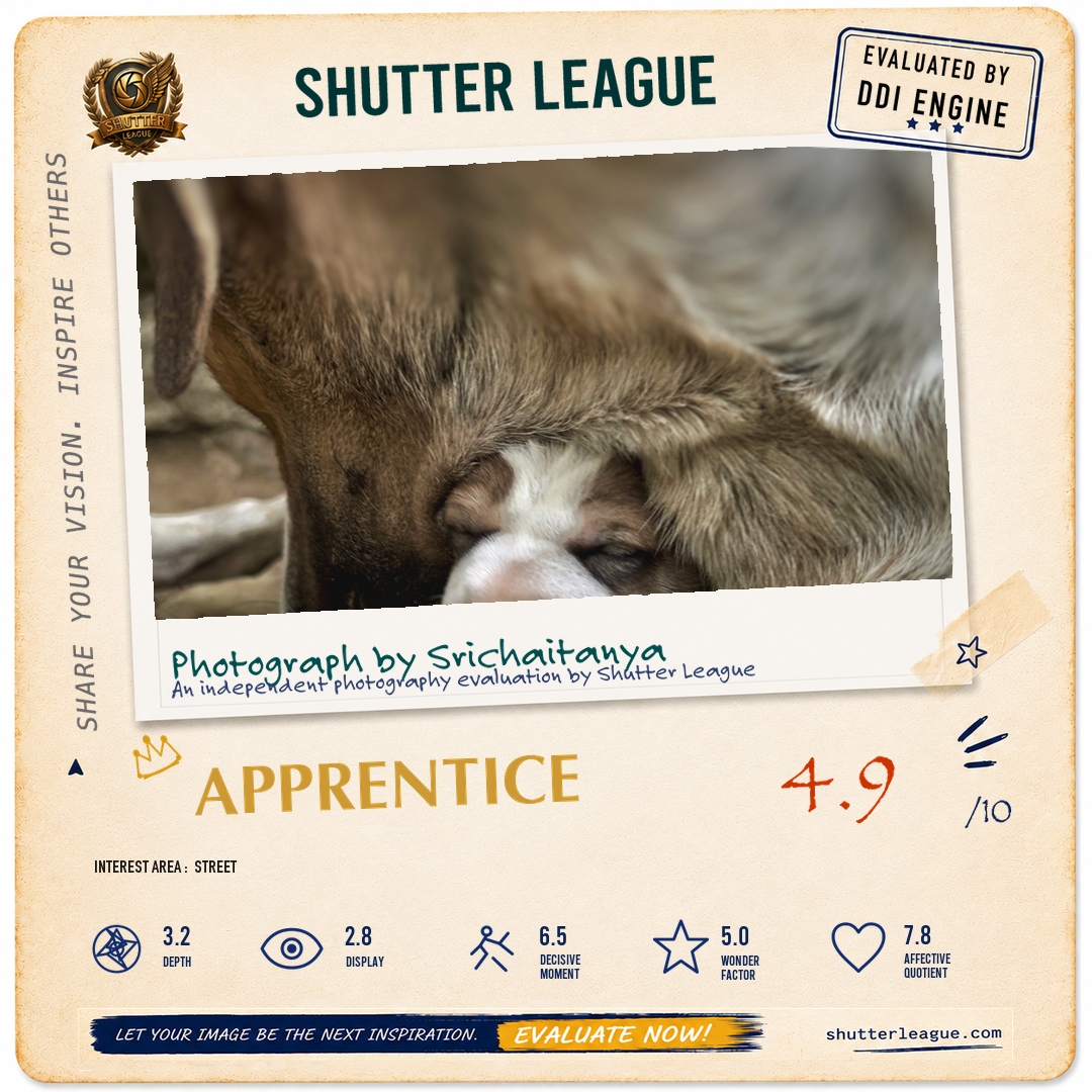 Shutter League evaluation card — Eyes to open