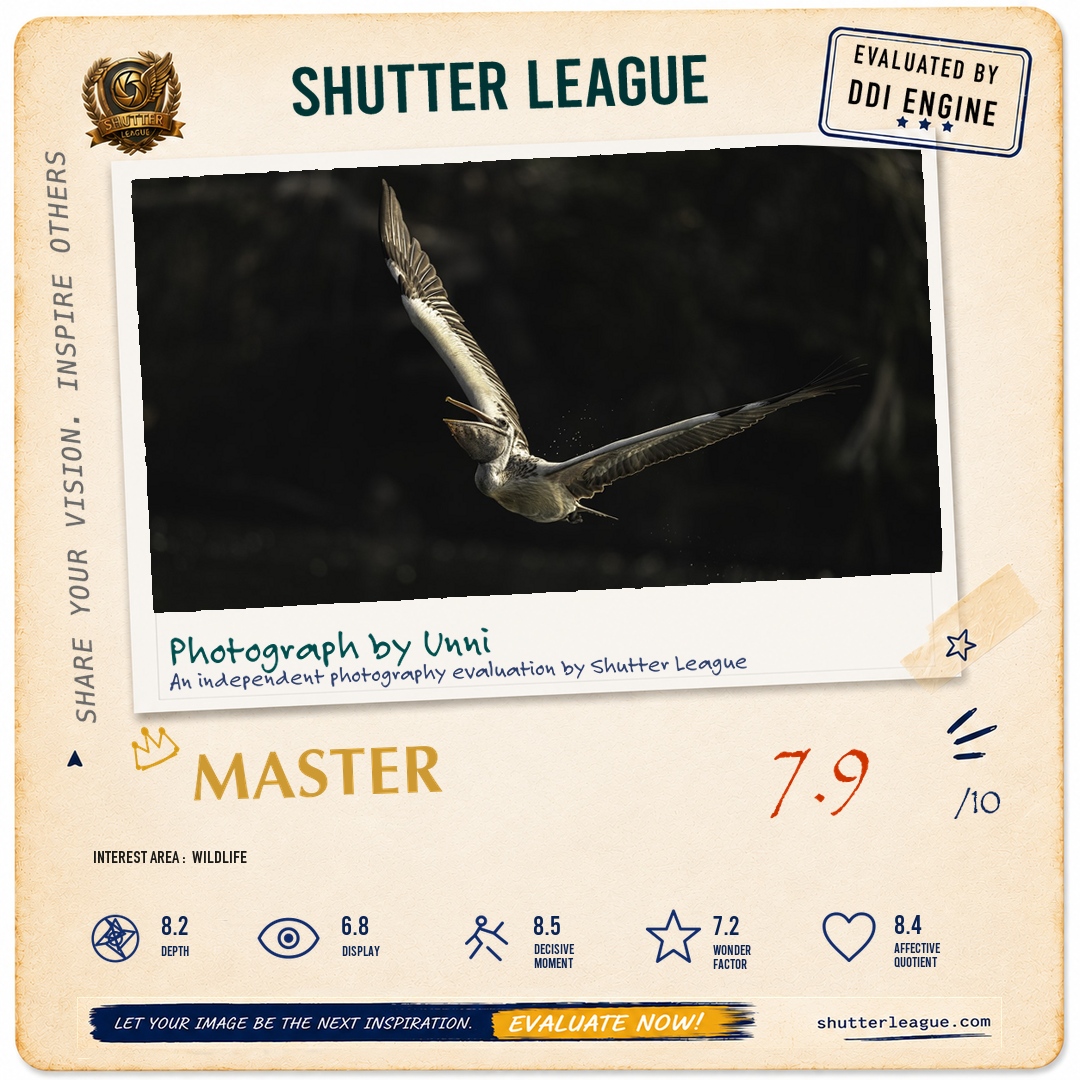 Shutter League evaluation card — Pelican on Air