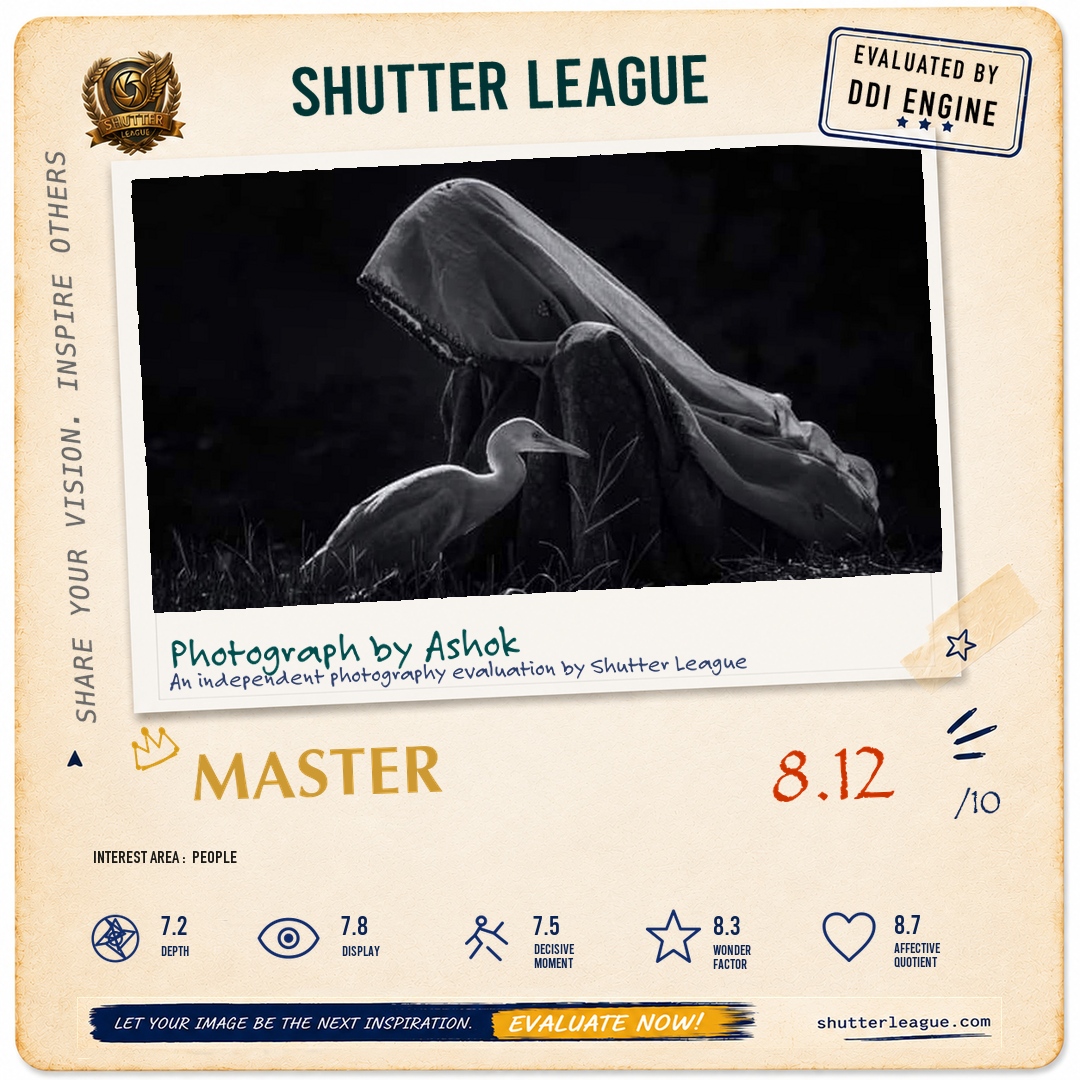 Shutter League evaluation card — Just another day at work