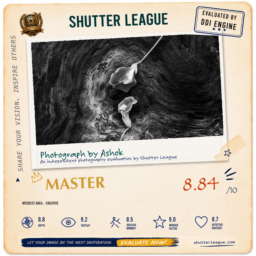 Shutter League evaluation card — Flowers