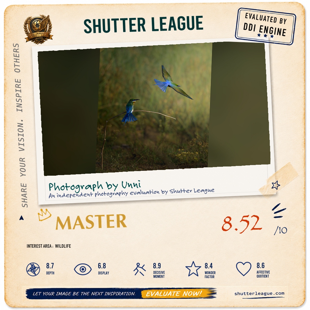 Shutter League evaluation card — Macro