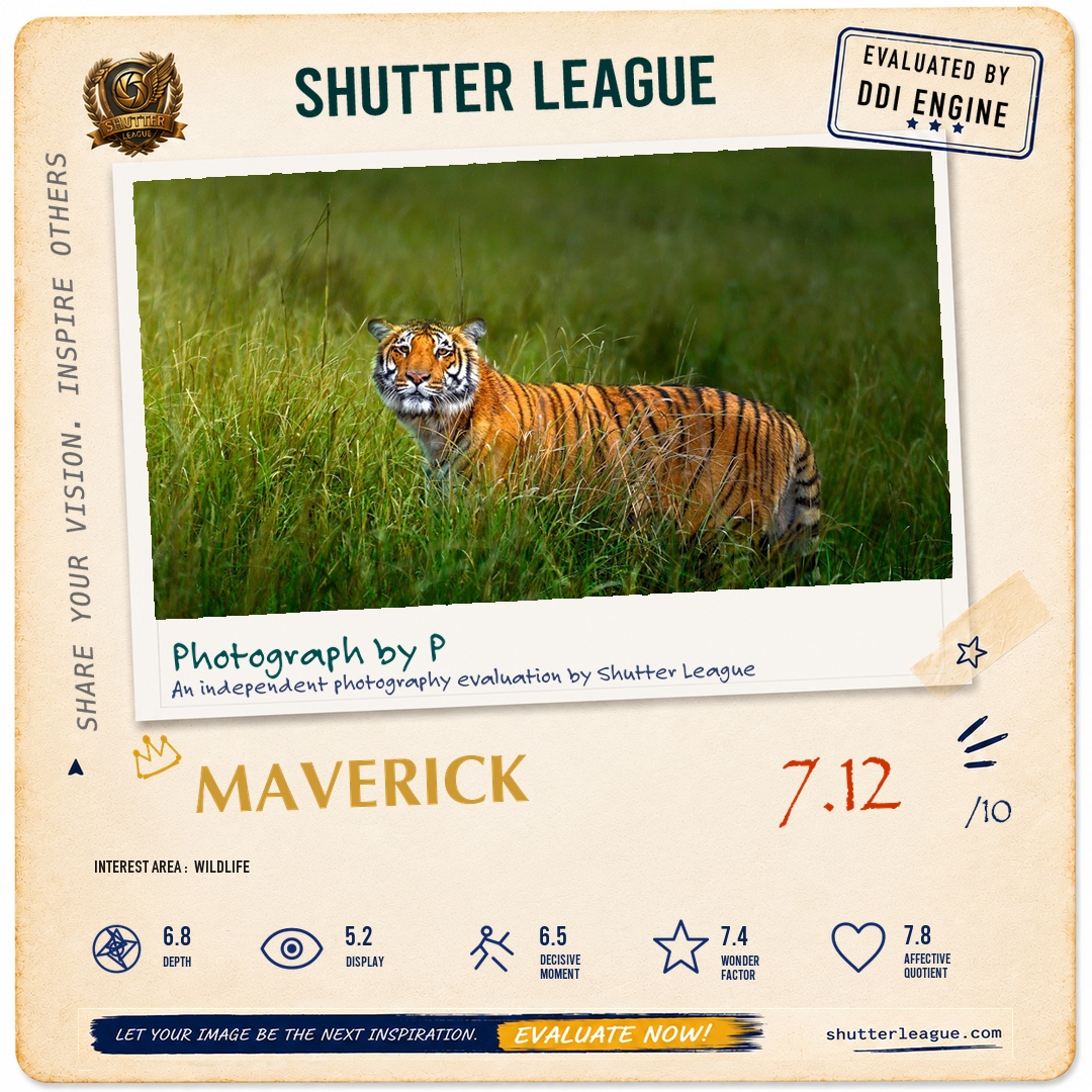 Shutter League evaluation card — Motherly love