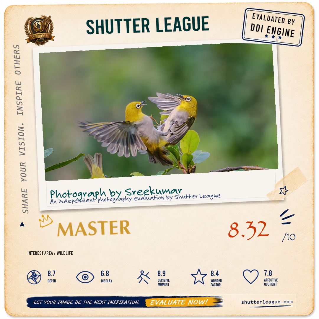 Shutter League evaluation card — The white eye fight