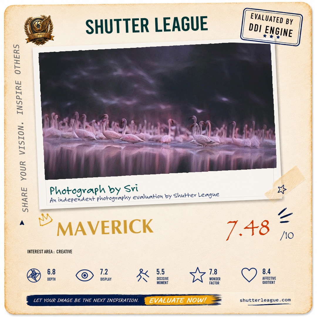 Shutter League evaluation card — The twilight hour
