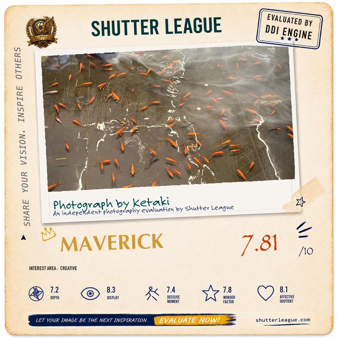 Shutter League evaluation card — Strokes of Orange