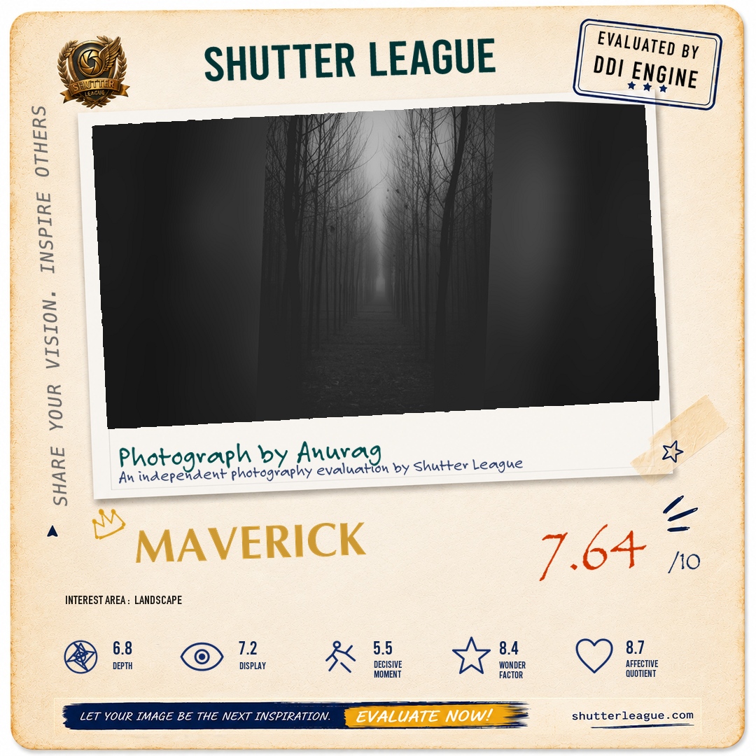 Shutter League evaluation card — One misty morning