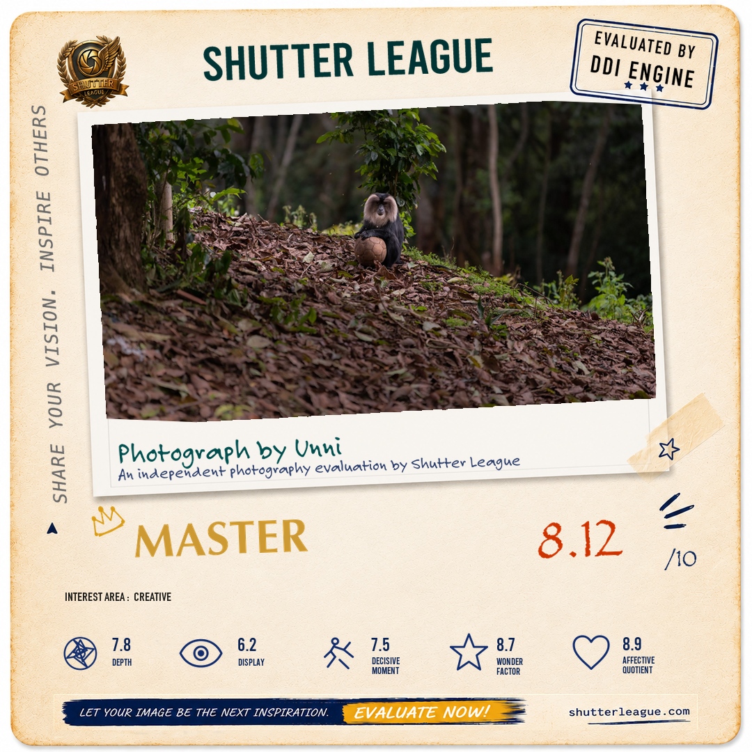 Shutter League evaluation card — Football