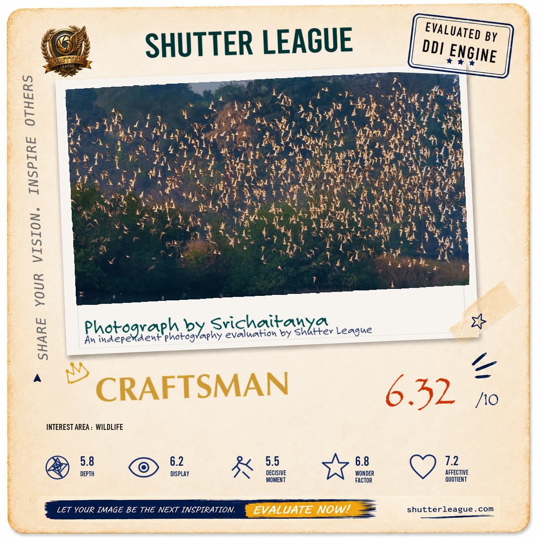 Shutter League evaluation card — Wetlands of Navi Mumbai