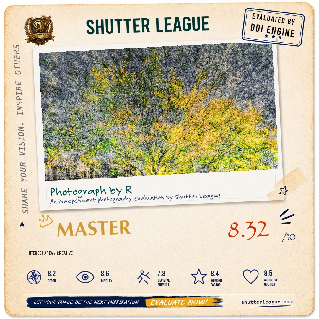 Shutter League evaluation card — PERSPECTIVES
