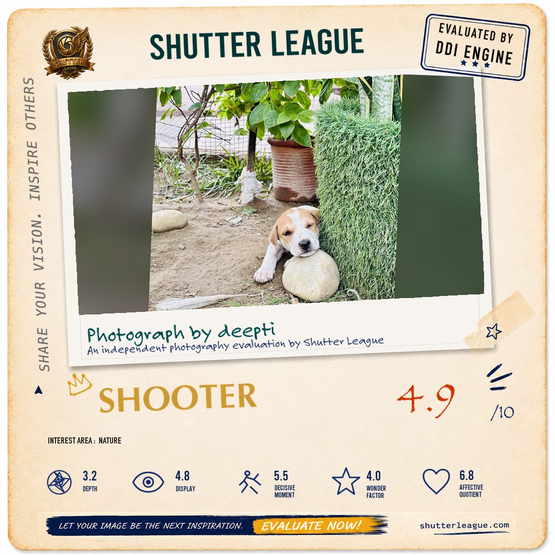 Shutter League evaluation card — Missing my girl