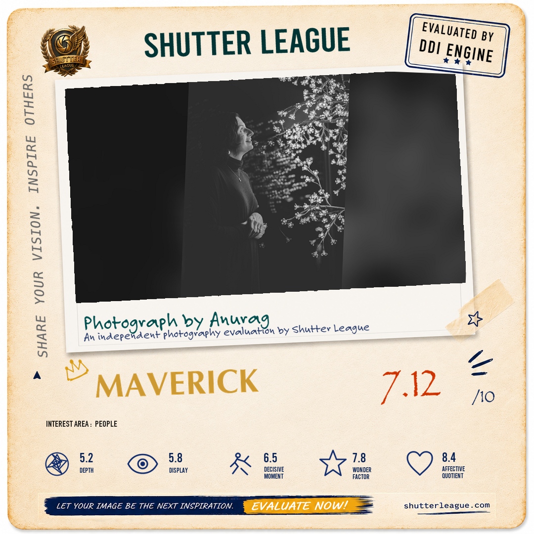 Shutter League evaluation card — Light shines on you
