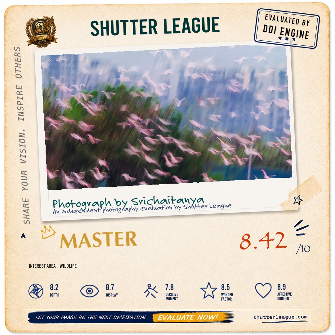 Shutter League evaluation card — Flamingos in Navi Mumbai