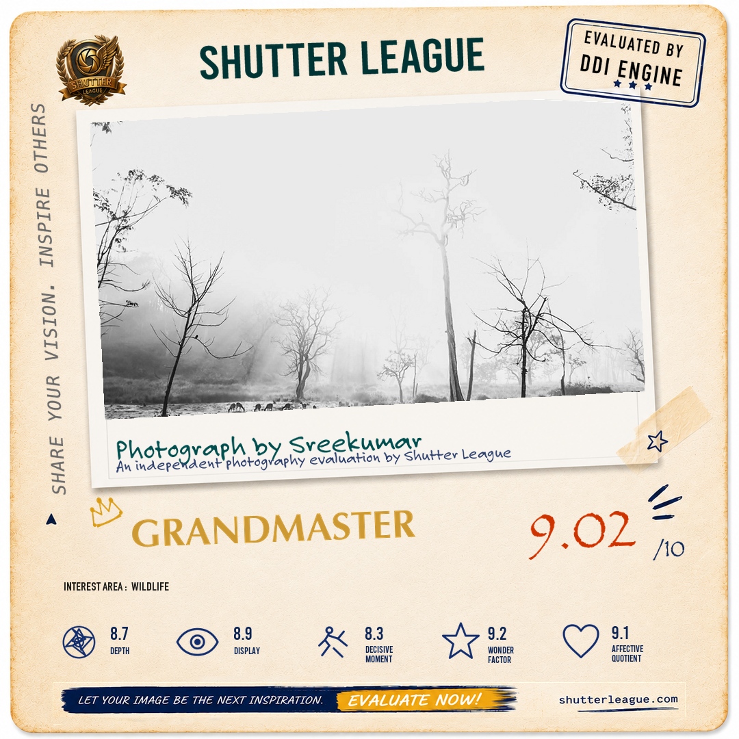 Shutter League evaluation card — Forest mornings