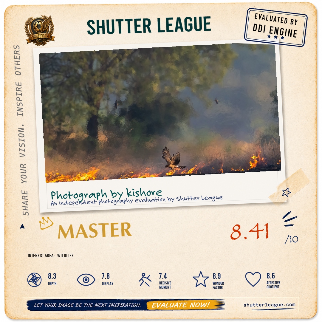 Shutter League evaluation card — fire and the feathers