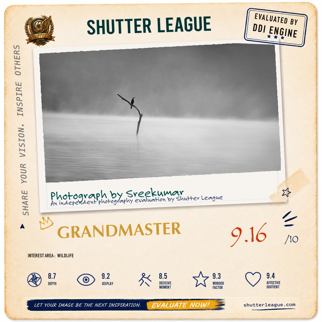 Shutter League evaluation card — Tranquil