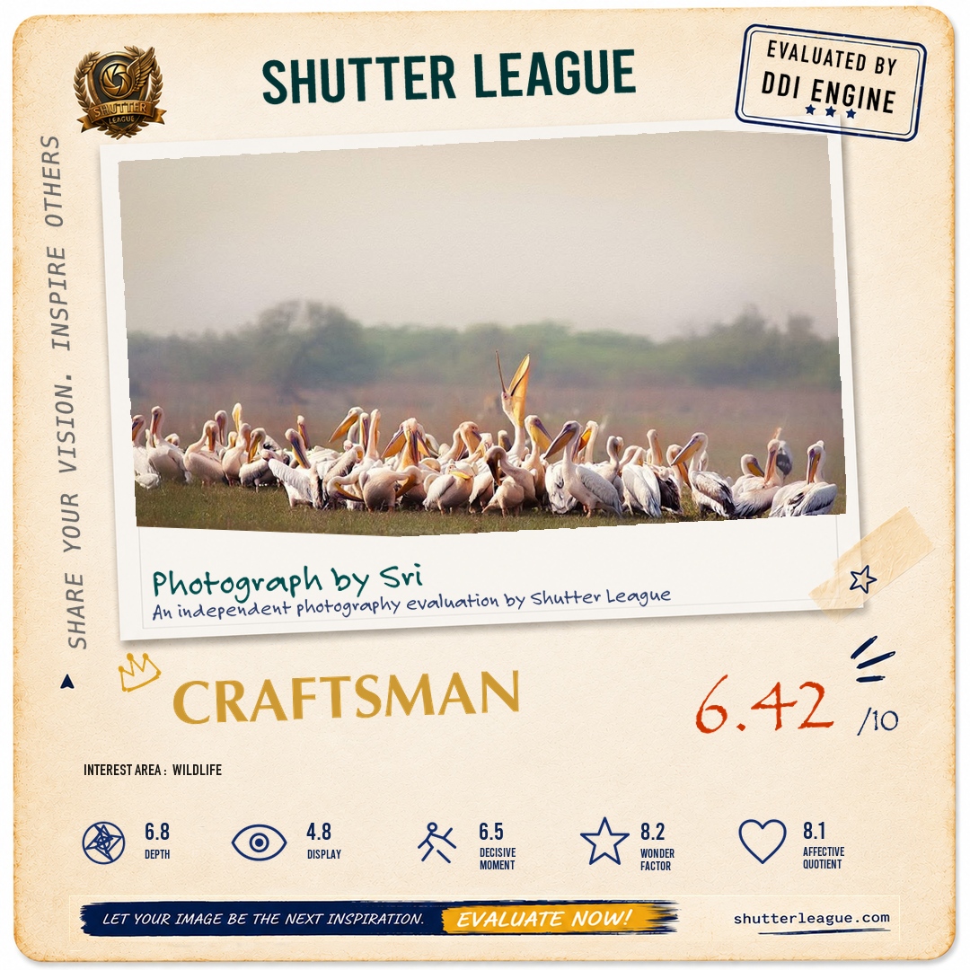 Shutter League evaluation card — Stretching throat muscle methods