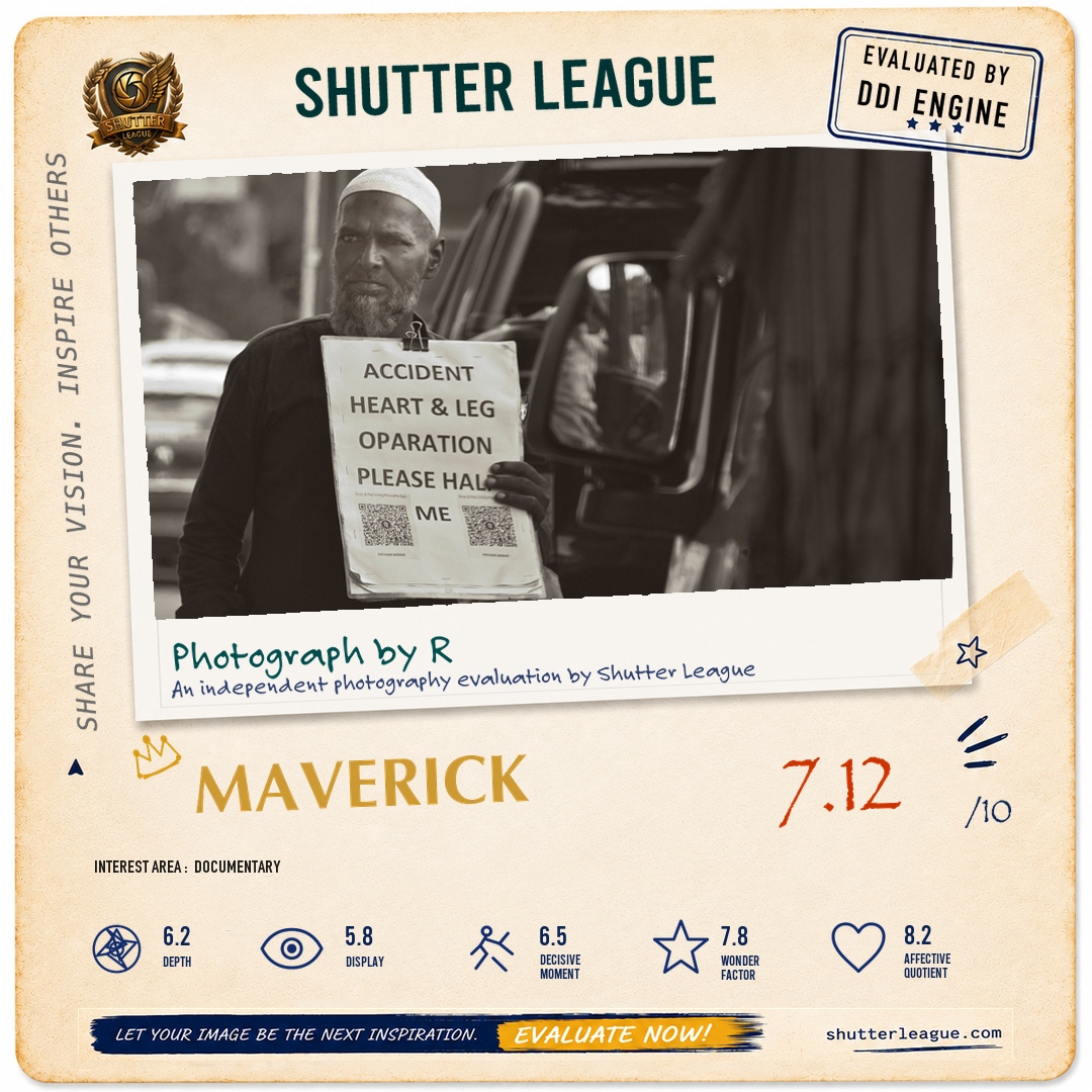 Shutter League evaluation card — DIGITAL HELP