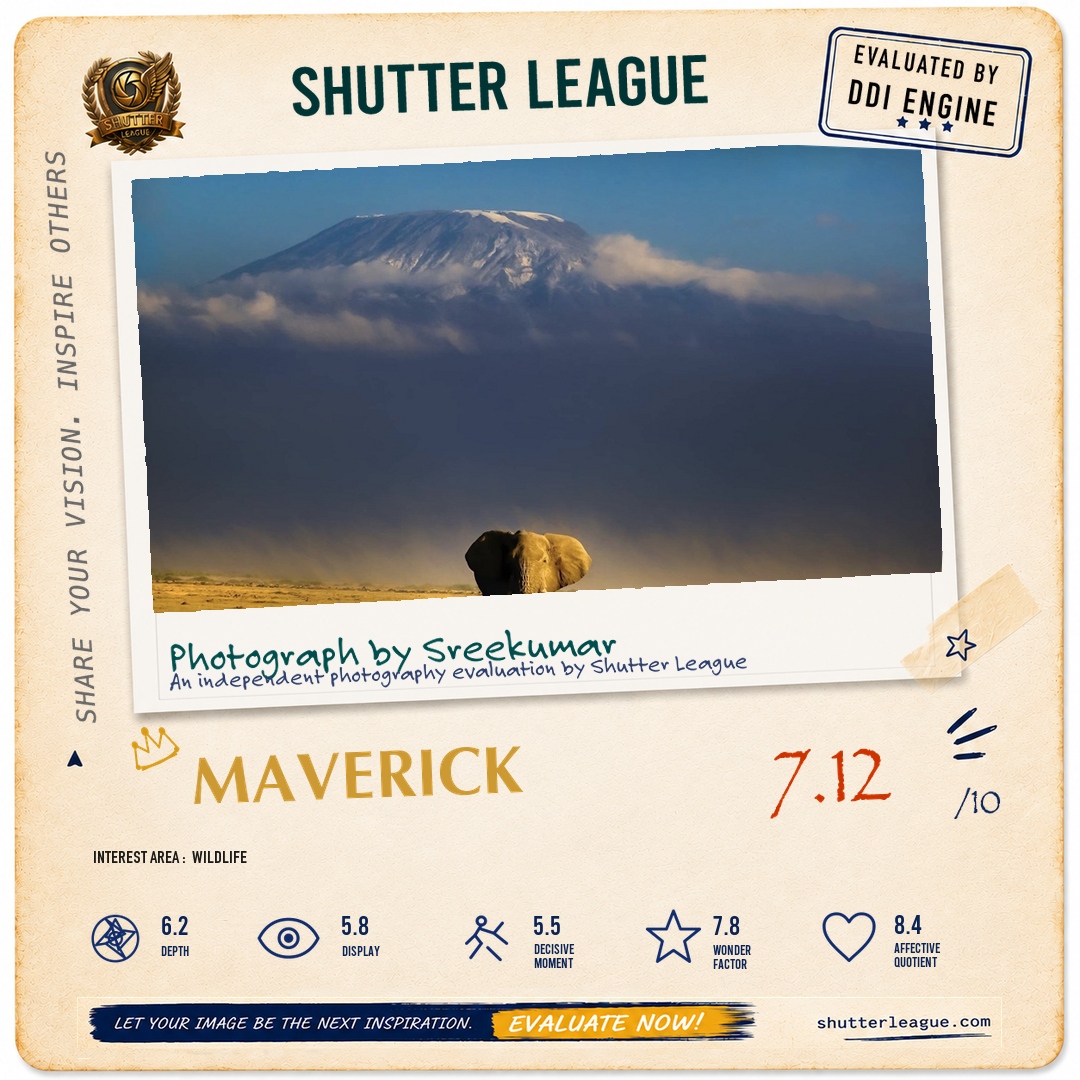 Shutter League evaluation card — Kilimanjaro elephant
