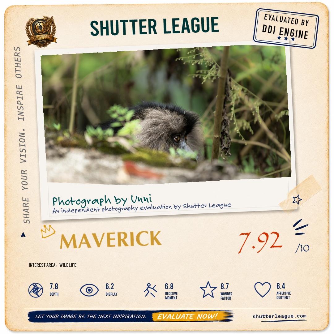 Shutter League evaluation card — LTM