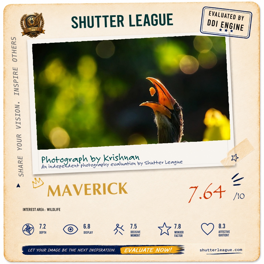 Shutter League evaluation card — Chew isn't in my dictionary