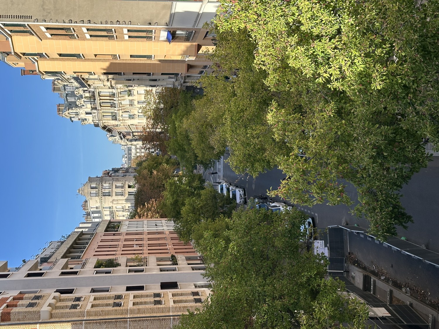 Paris Street