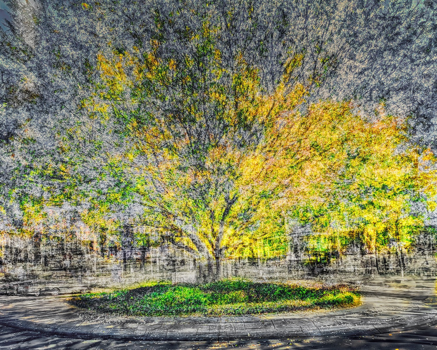 Photograph by a Shutter League member